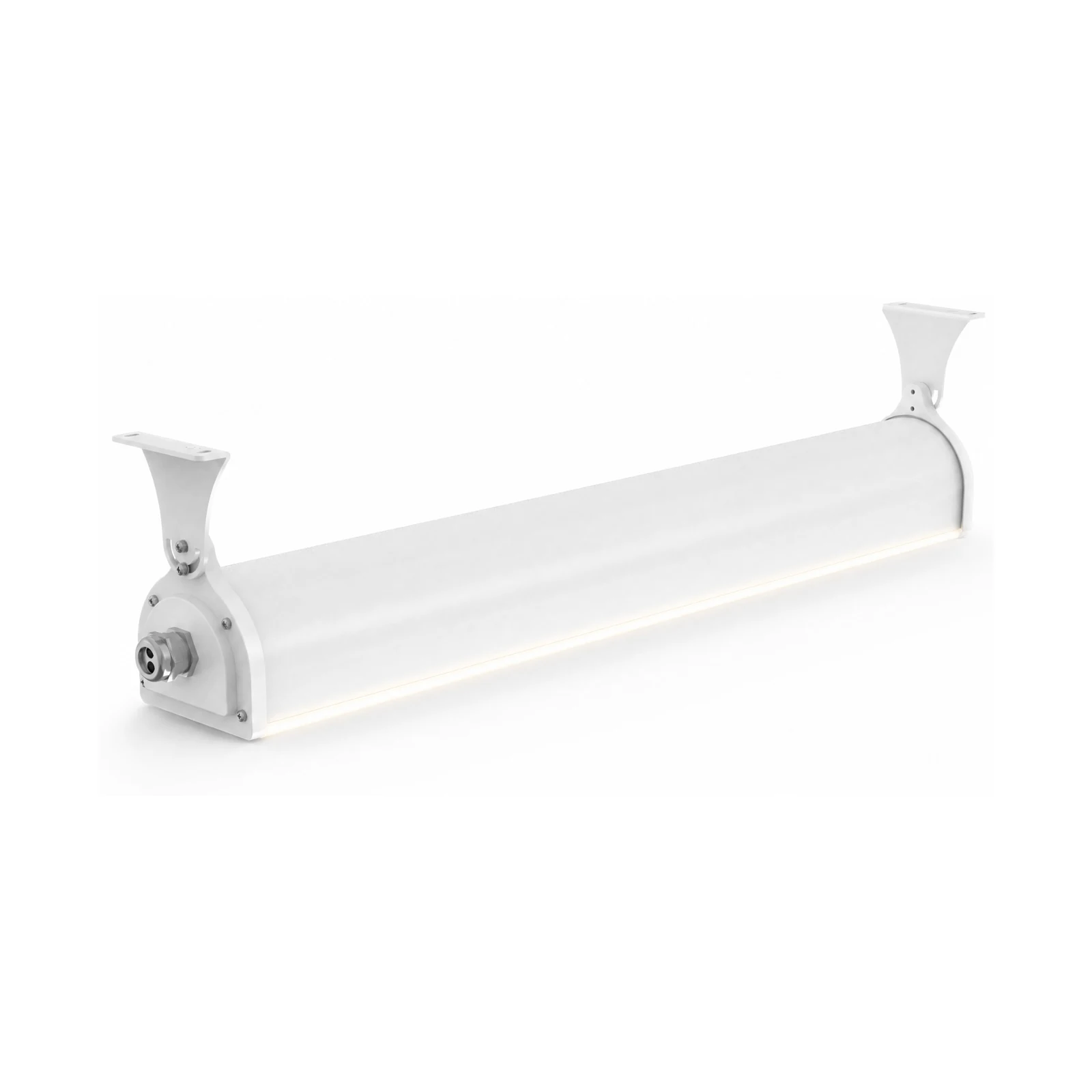 HB12 IP69K Linear Food Processing Light